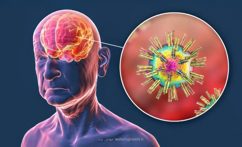 ضربه به سر، ویروس های خفته مغز را بیدار می کند